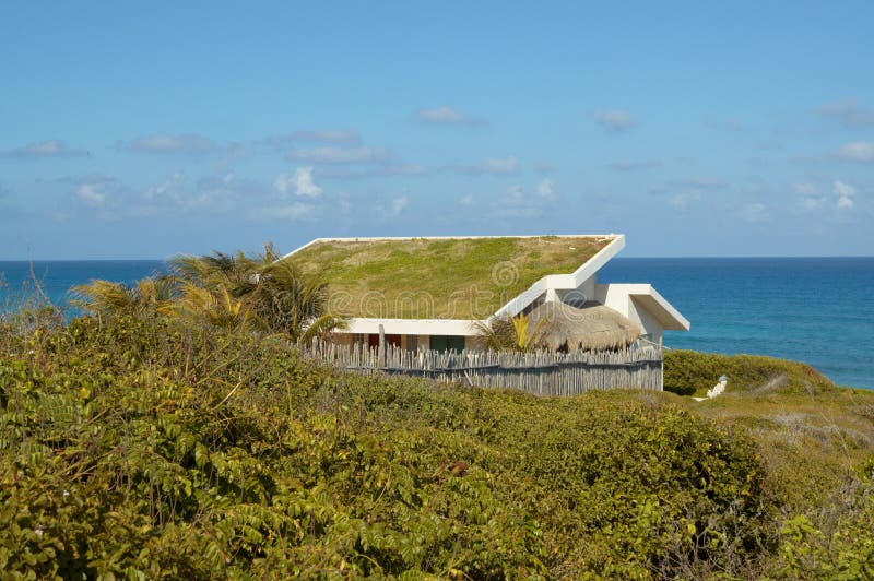 Grass Roof House