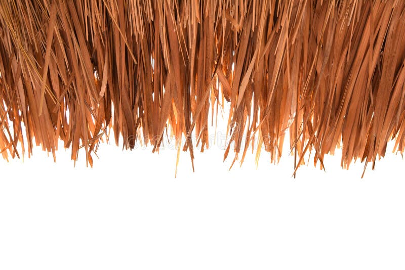 Thatched White Cottage Stock Photo Image Of Quaint Dwelling 747206 Thatched White Cottage Stock Photo Image Of Quaint Dwelling 747206
