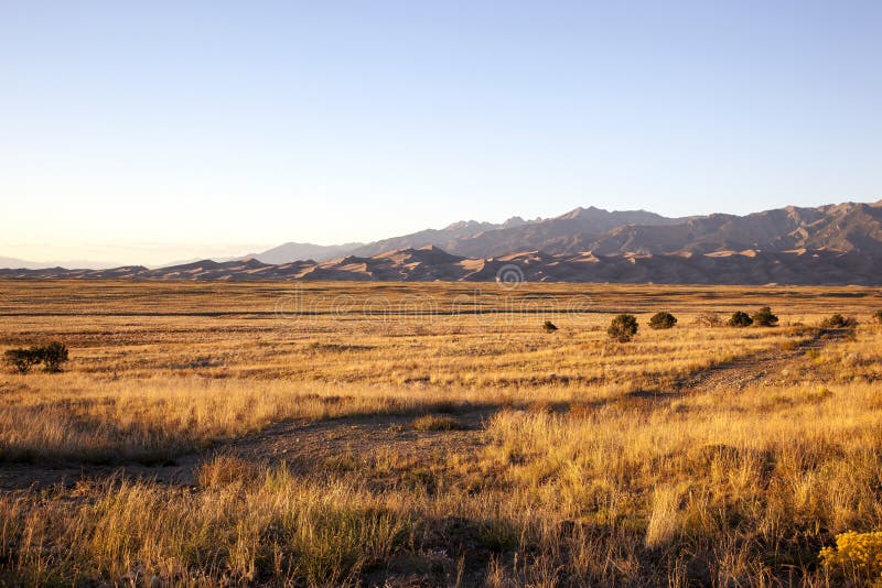 Grass and Sand at Sunset