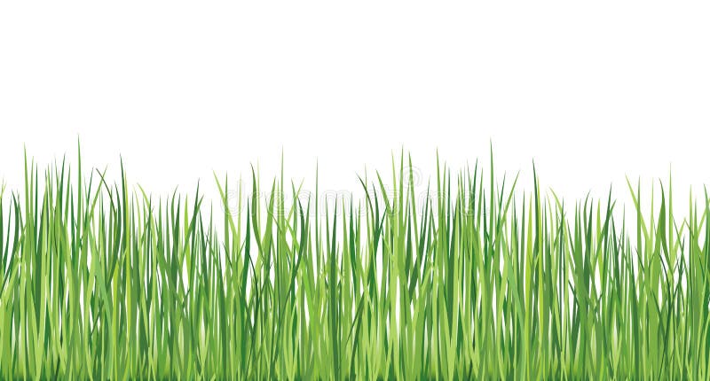 Grass seamless border. Vector spring background. stock photo