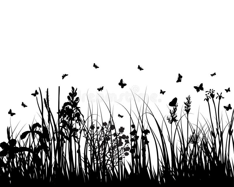 Meadows plant silhouette stock vector. Illustration of border - 7399588