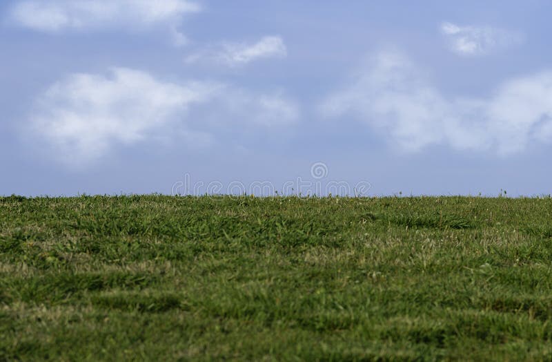 Download Grass and sky stock image. Image of clouds, farmland, meadow - 100405
