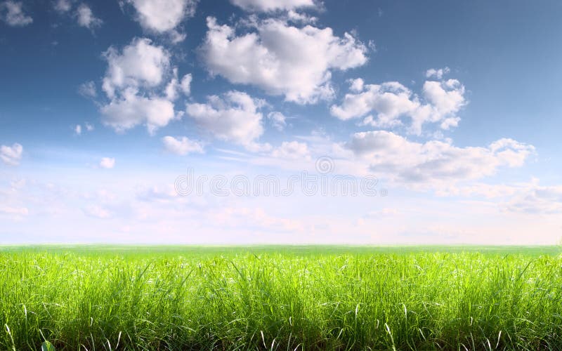 Grass and sky