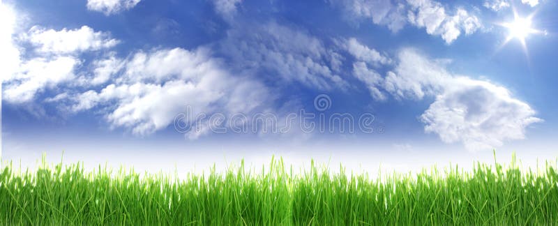 Grass and sky.