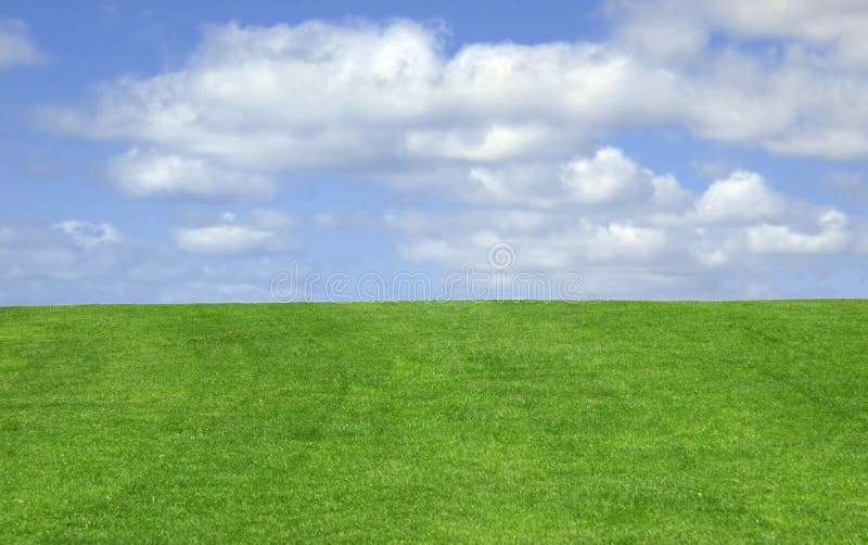 L'erba e il cielo di sfondo.