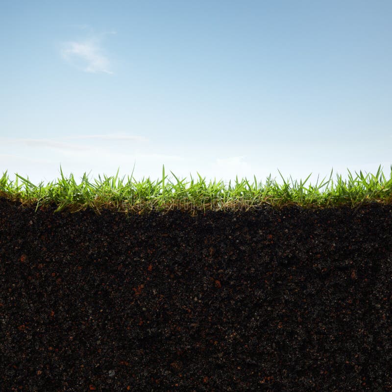 Grass and soil. Cross section of grass and soil against blue sky Grass and soil. Cross section of grass and soil against blue sky