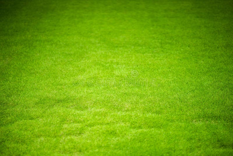 Grass of Sport Field stock photo. Image of space, texture 171212416