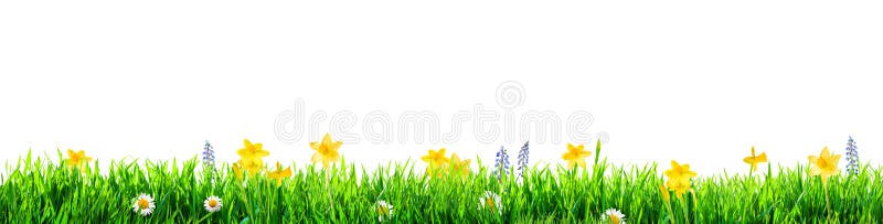 736 Grass Png Stock Photos - Free & Royalty-Free Stock Photos from  Dreamstime