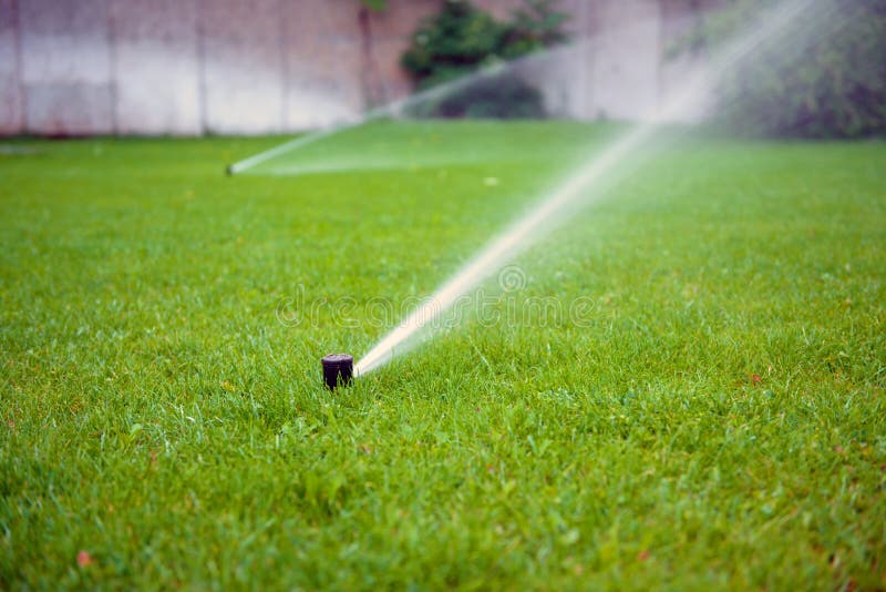 Grass Sprinkler closeup photo