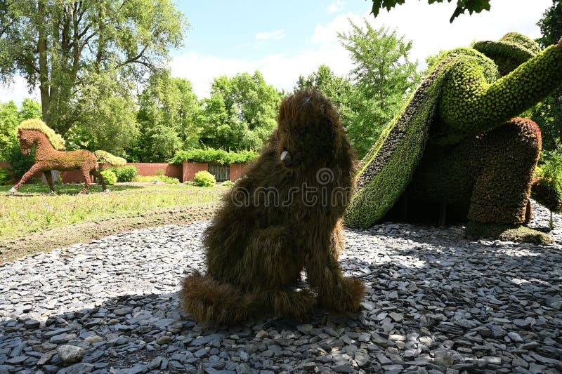 Grass standbeelden in Parc Jean-Drapeau stock afbeelding