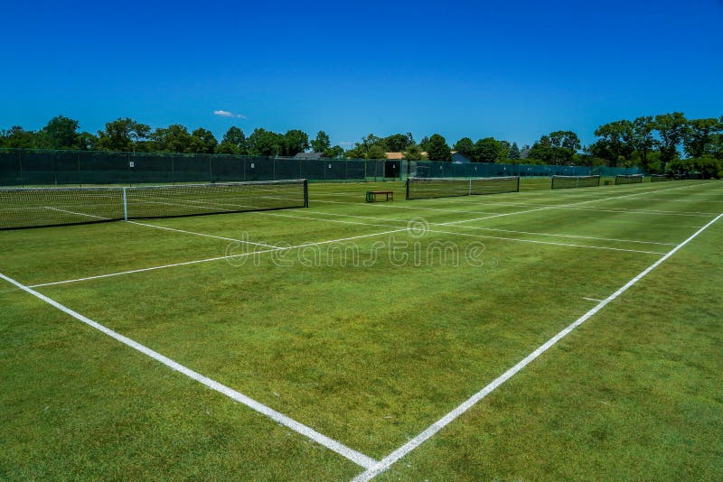 Grass Tennis Court with Net Stock Photo Image of beautiful, tennis 185881360