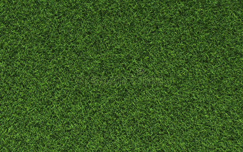 7,888,388 Grass Stock Photos - Free & Royalty-Free Stock Photos from Dreamstime 7,888,388 Grass Stock Photos - Free & Royalty-Free Stock Photos from Dreamstime