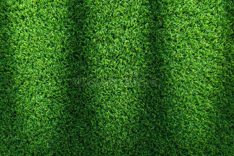 Grass texture background for golf course, soccer field or sports concept design. Artificial green grass royalty free stock photos Grass texture background for golf course, soccer field or sports concept design. Artificial green grass royalty free stock photos