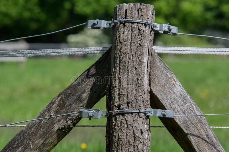 Grass, Tree, Wire Fencing, Wood Picture. Image 118430140