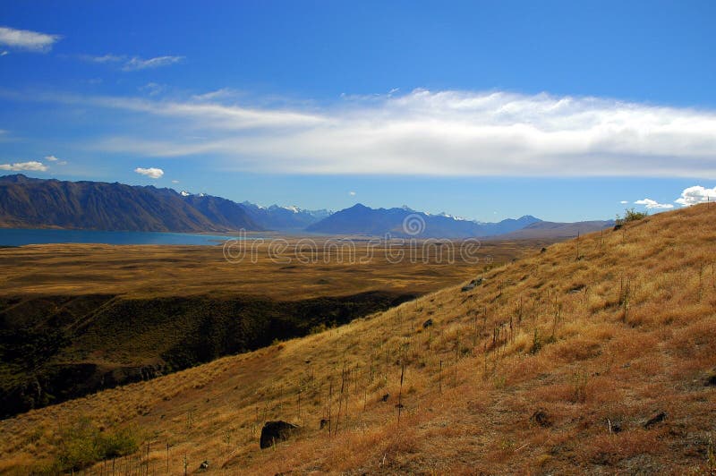 Grass and Tussock Hill at Lake Tekapo Stock Photo Image of zealand