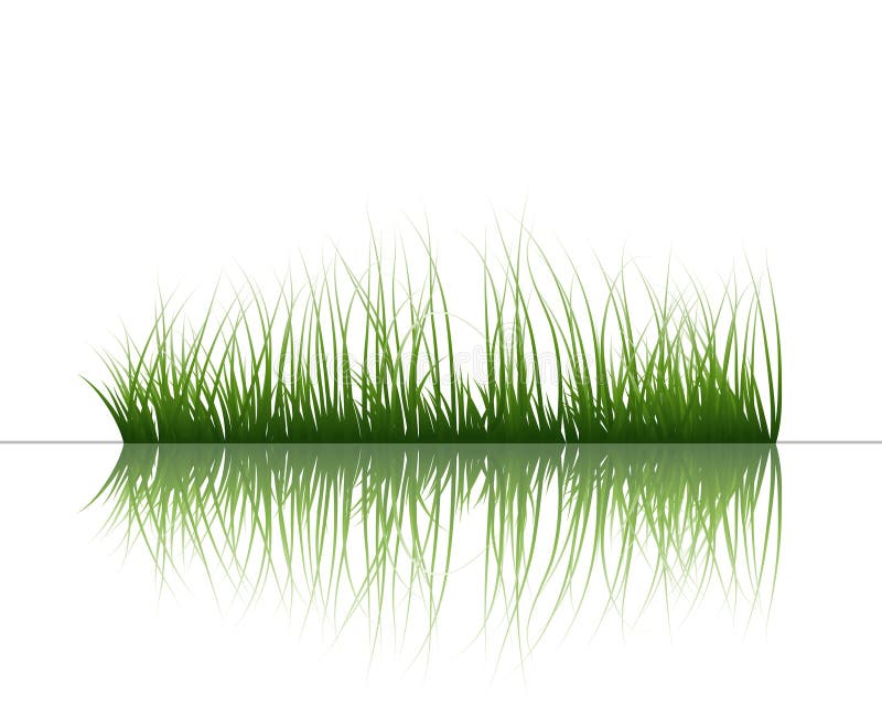 Grass on water royalty free illustration
