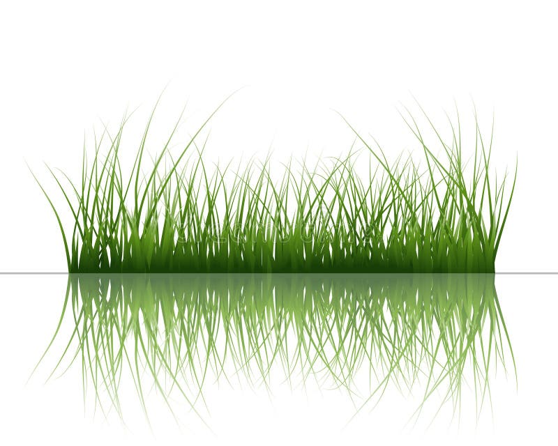 Grass on water royalty free illustration