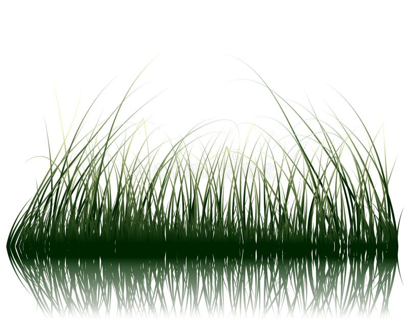 Grass on water royalty free illustration