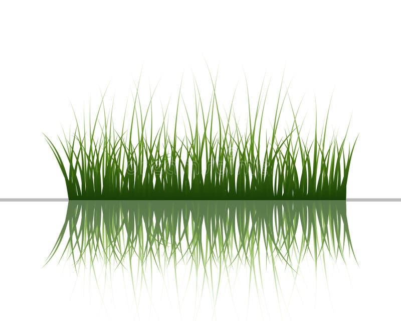 Grass on water royalty free illustration