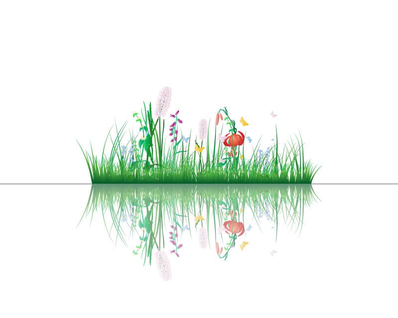 Grass on water stock illustration