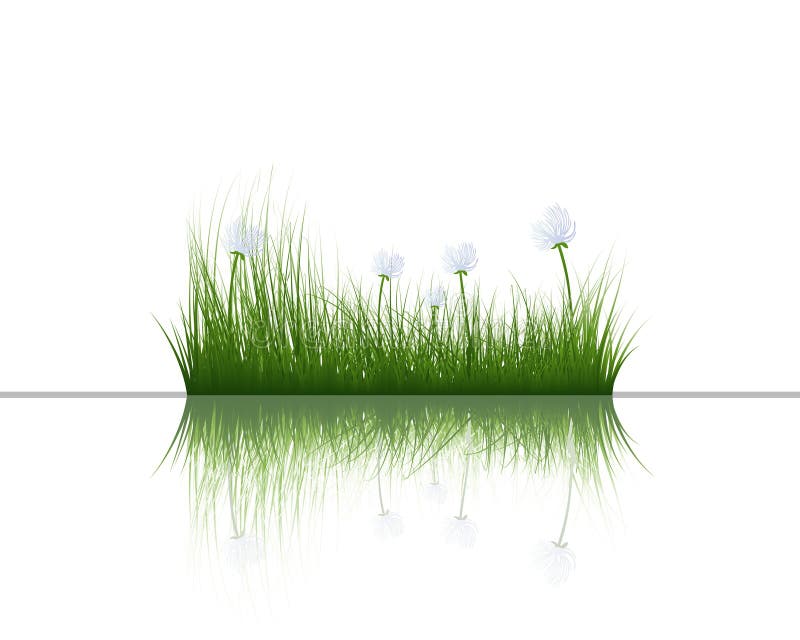 Grass on water stock illustration