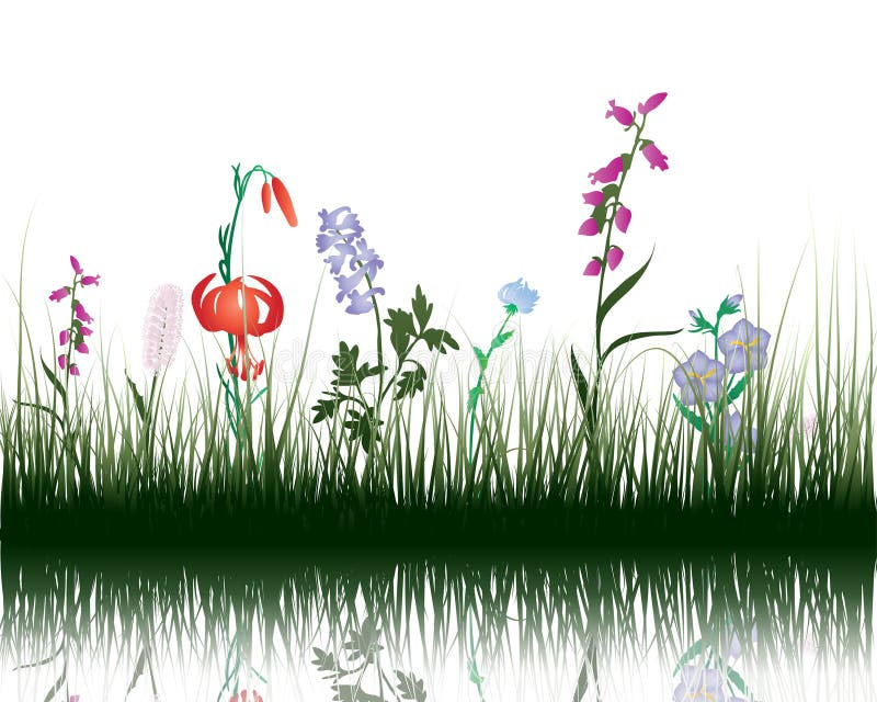 Grass on water stock illustration