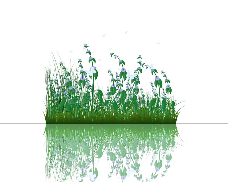 Grass on water royalty free illustration