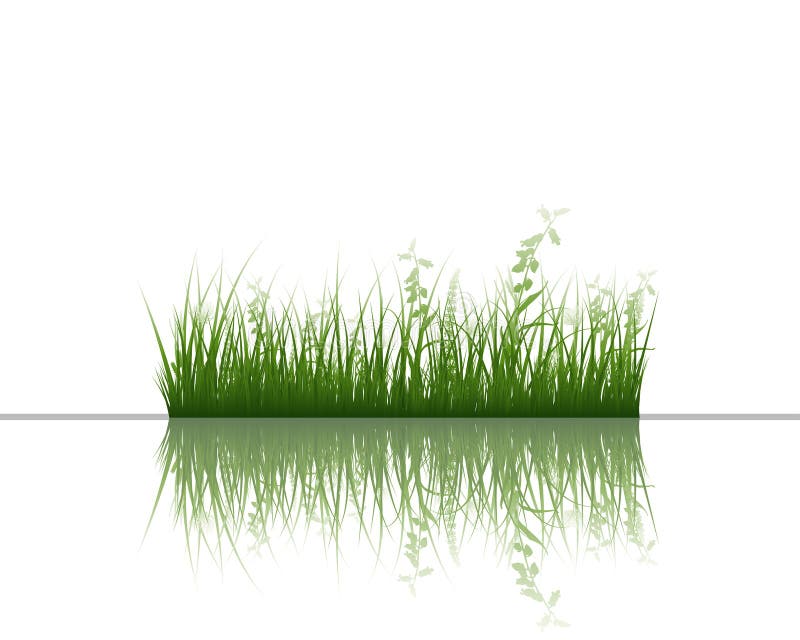 Grass on water royalty free illustration