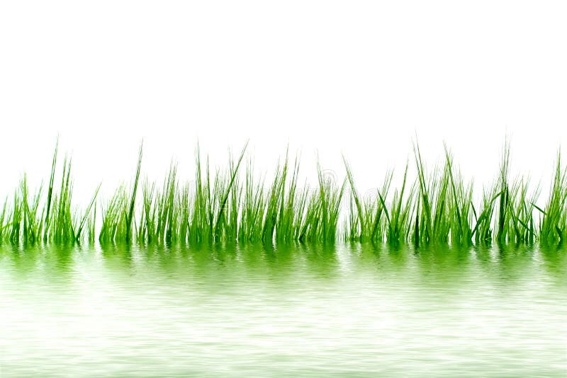 Grass in the water