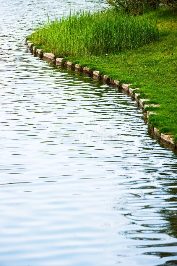 Grass and water stock photo. Image of landscape, colourful 14473936