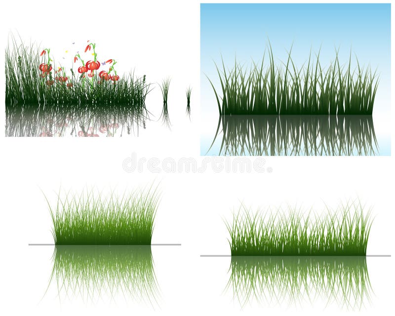 Grass on water royalty free illustration
