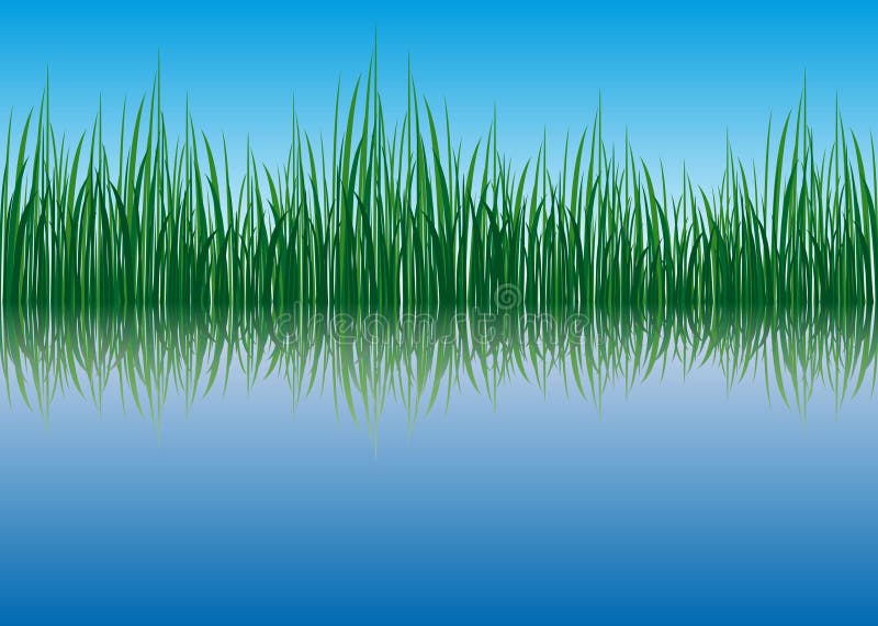 Grass waterside