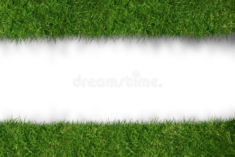 grass with white line royalty free stock images grass with white line royalty free stock images