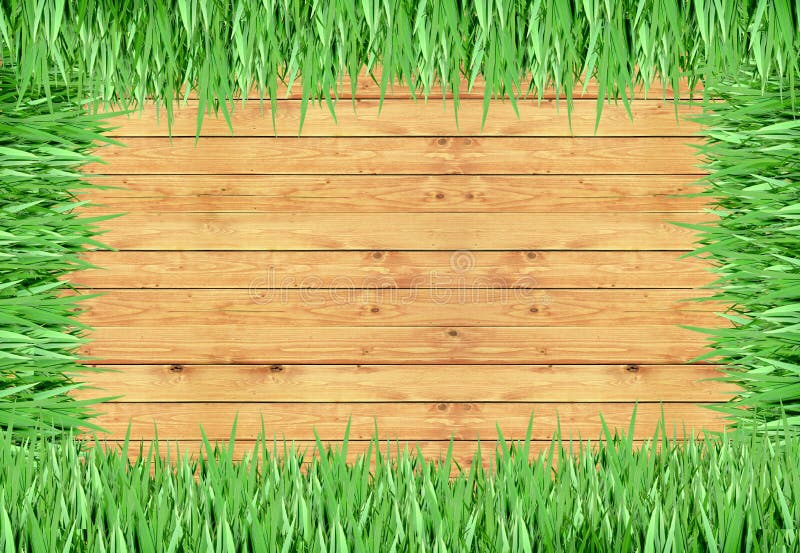 Grass, wood frame with the background