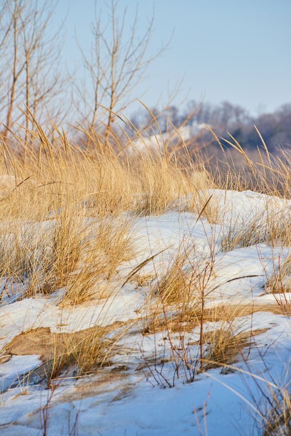 Michigan Sand Dunes Detail Covered in Winter Snow Stock Image - Image ...