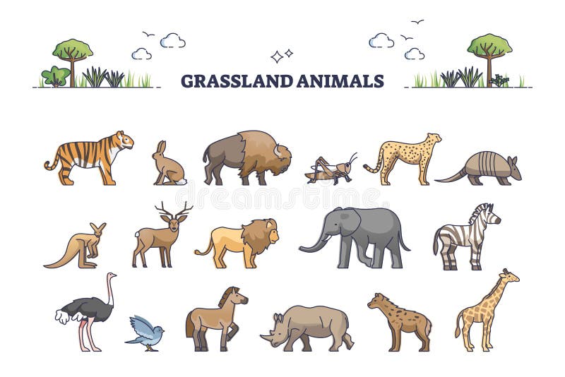 Zebra Grassland Africa Stock Illustrations – 151 Zebra Grassland Africa Stock Illustrations, Vectors & Clipart - Dreamstime Zebra Grassland Africa Stock Illustrations – 151 Zebra Grassland Africa Stock Illustrations, Vectors & Clipart - Dreamstime