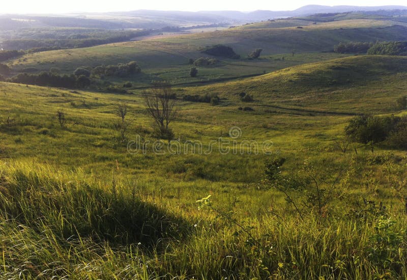 Highland, Ecosystem, Grassland, Hill Picture. Image 116069371