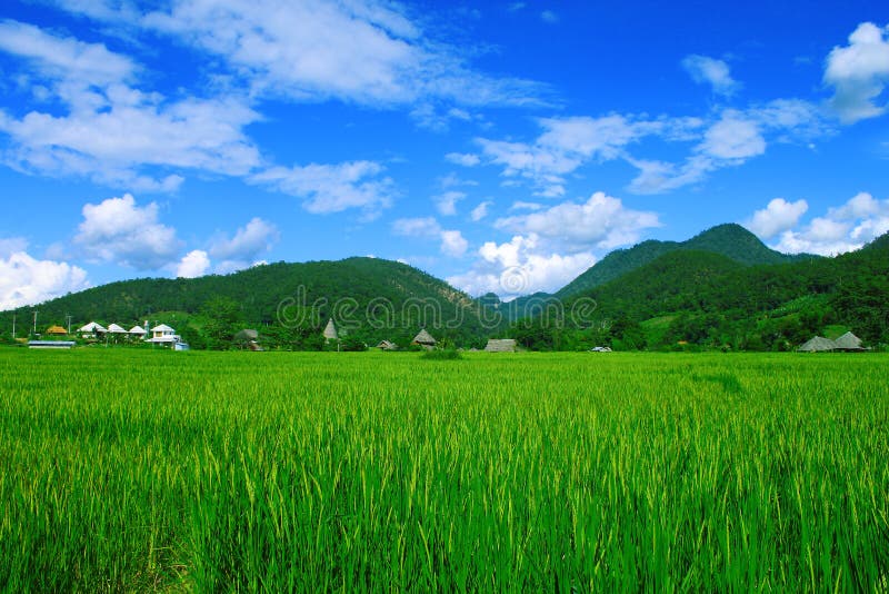 Grassland and mountain Thailand