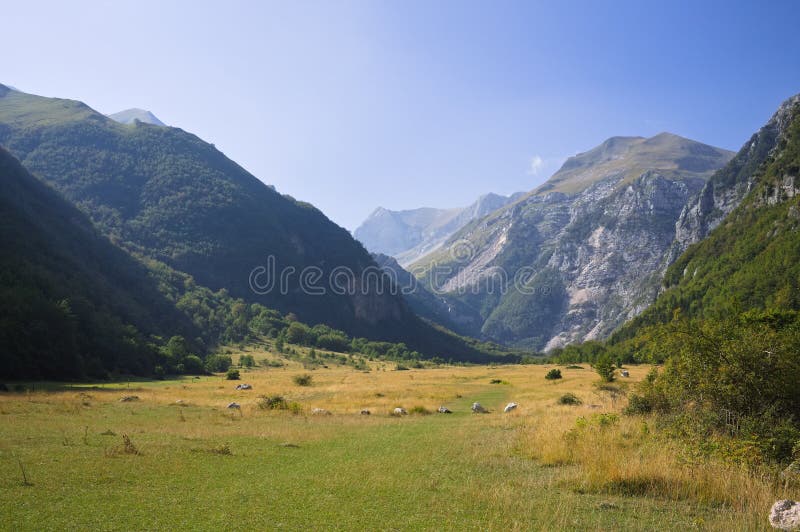 A grassland with plants and trees in the valley of Sibillini mountains Italy, Europe