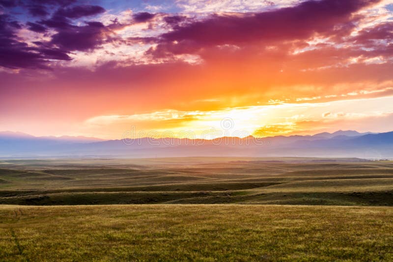 Road, Path, Grassland, Field Picture. Image 123314812