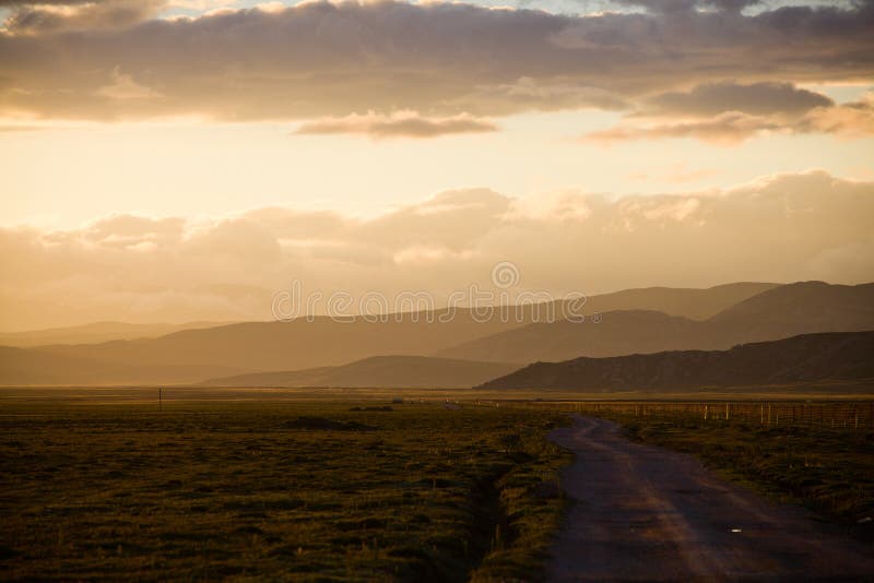 Grassland Road royalty free stock photo