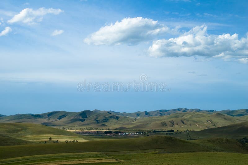 Grassland scenery