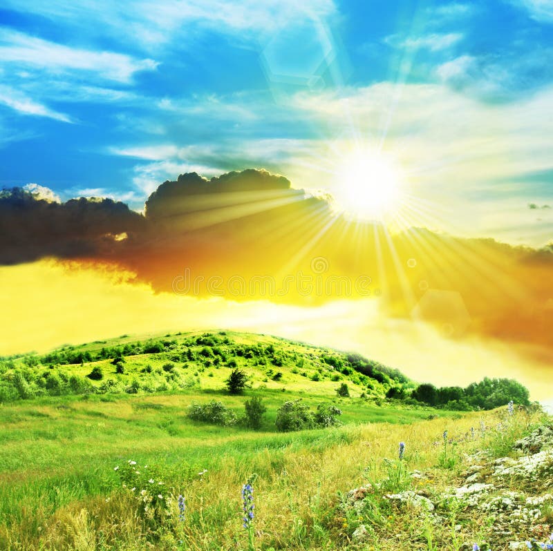 Grassland on sunset stock photo. Image of environment 8510546