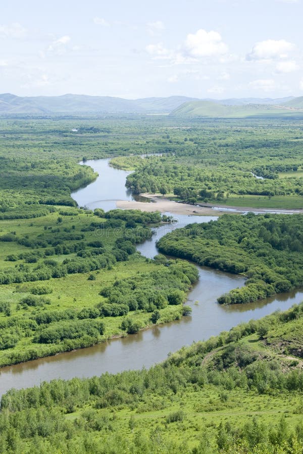 Grassland wetland stock image. Image of bending, natural 33735605