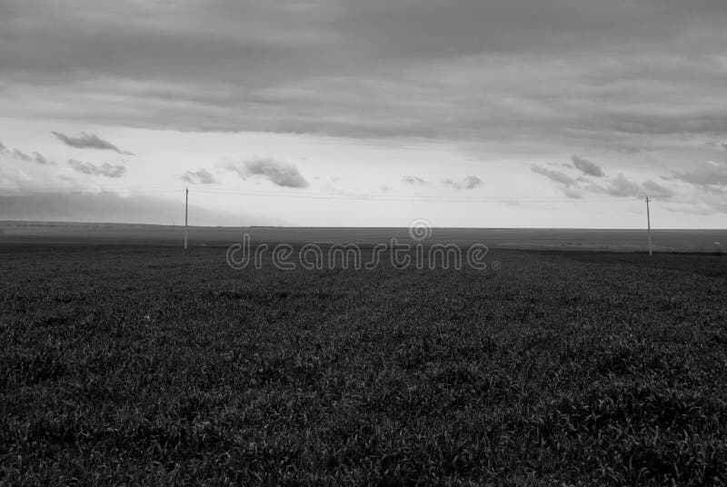 Grasslands stock image. Image of grassland, vast, expanse 64406487