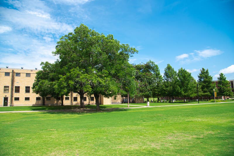 Grassy campus quad courtyard with several historic buildings in background, large meadow front yard college green space under sunny summer cloud blue sky in Texas, education, landscaping concept. USA