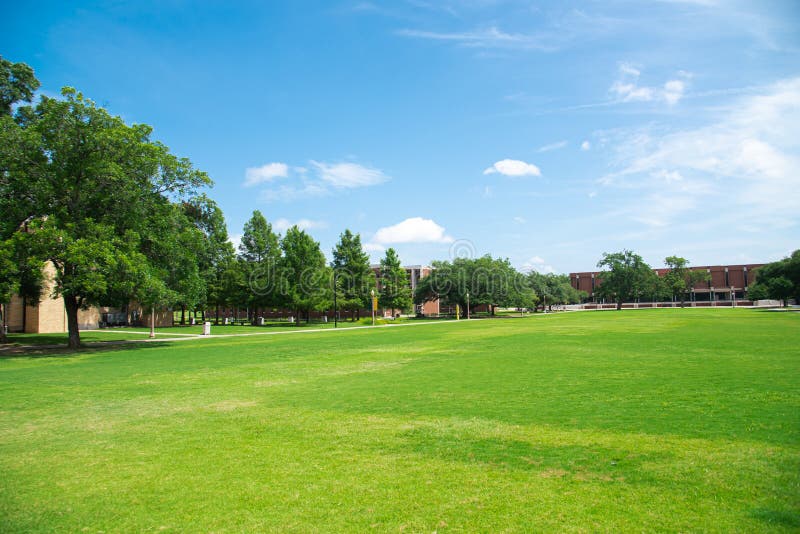 Grassy campus quad courtyard with several historic buildings in background, large meadow front yard college green space under sunny summer cloud blue sky in Texas, education, landscaping concept. USA