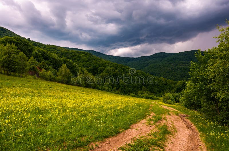 Grassy field on hillside in stormy weather