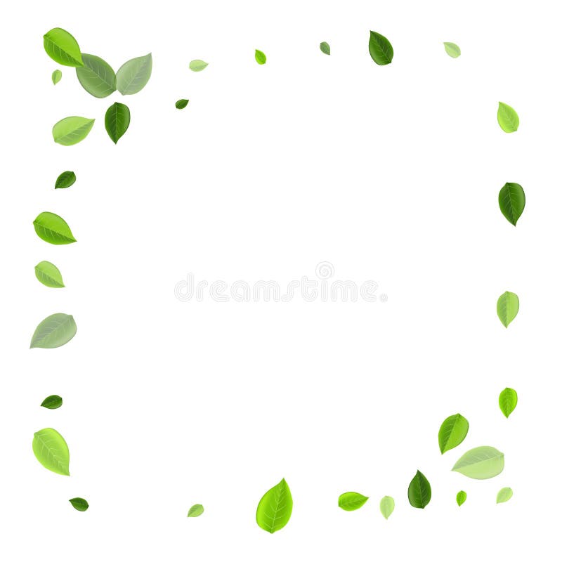 Wind with leaves. Windy weather. Weather forecast for the autumn season,  meteorology. Forecasting wind speed and strength. Line art. Vector  illustration in doodle style isolated 15272629 Vector Art at Vecteezy