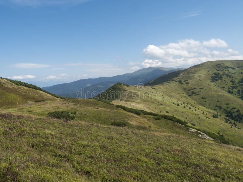 Trávnaté zelené kopce a svahy na hrebeni nízkych tatier s turistickým chodníkom, horskou lúkou borovíc